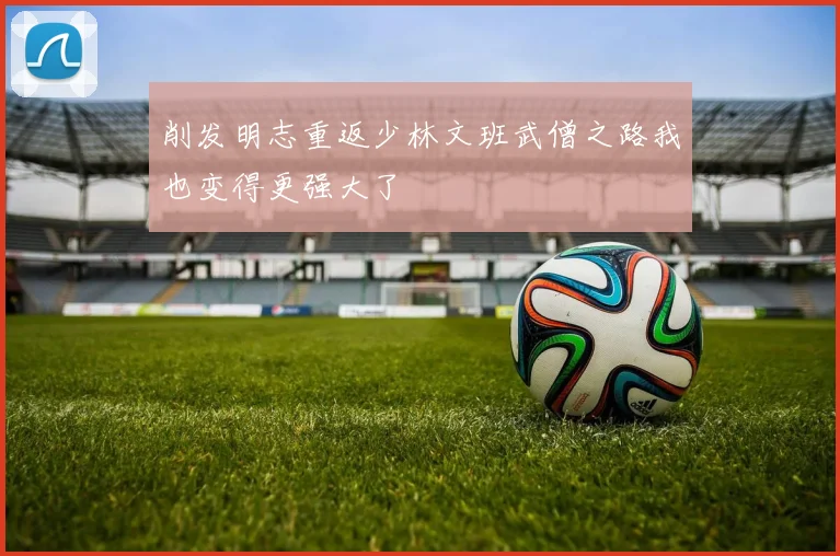 削发明志重返少林文班武僧之路我也变得更强大了