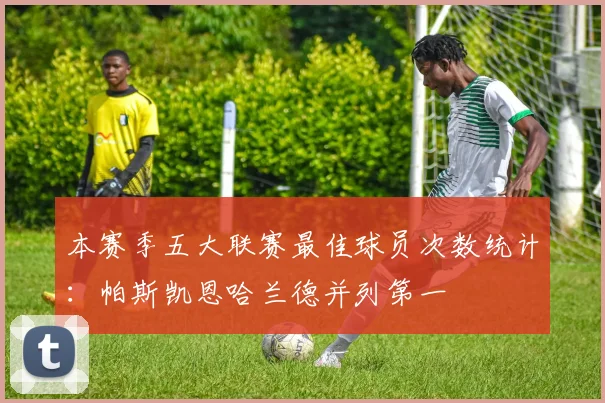 本赛季五大联赛最佳球员次数统计：帕斯凯恩哈兰德并列第一