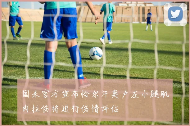 国米官方宣布恰尔汗奥卢左小腿肌肉拉伤将进行伤情评估